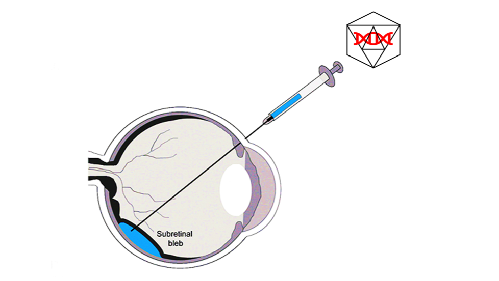 VAR-002_A BROAD-SPECTRUM GENE THERAPY