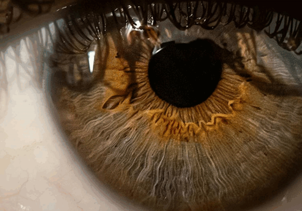 EYE